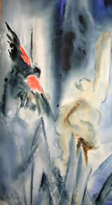 Watercolour Red Winged Blackbird